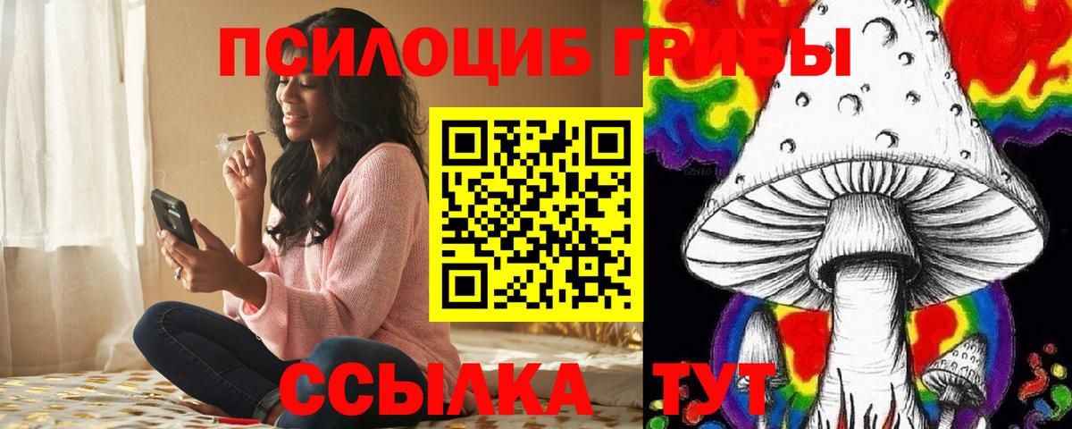 Галлюциногенные грибы прущие грибы Буйнакск