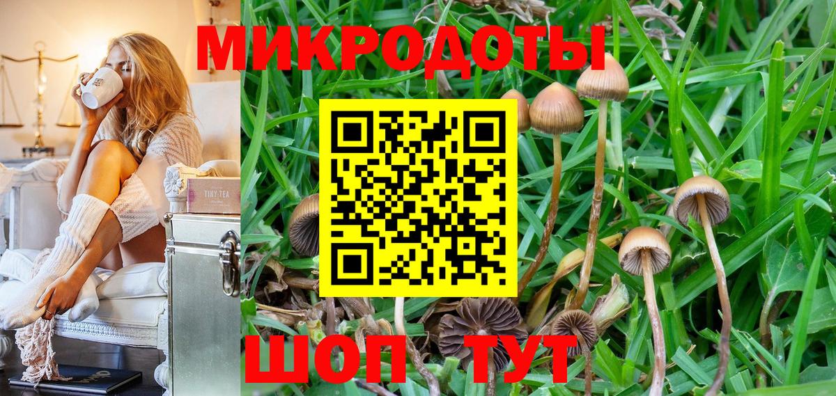 Буйнакск  Галлюциногенные грибы мухоморы  Вход с VPN 